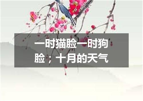 一时猫脸一时狗脸；十月的天气