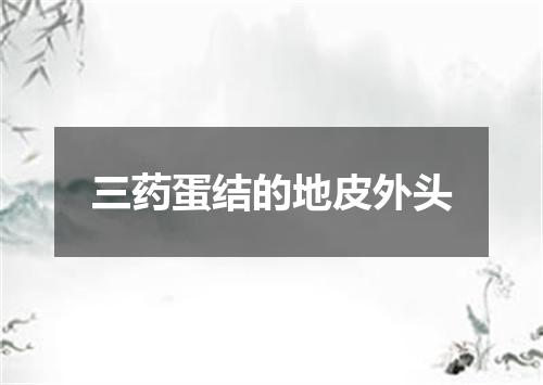 三药蛋结的地皮外头