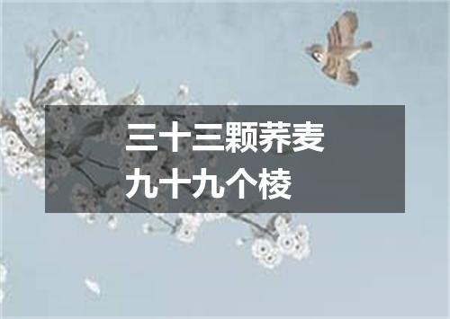 三十三颗荞麦九十九个棱