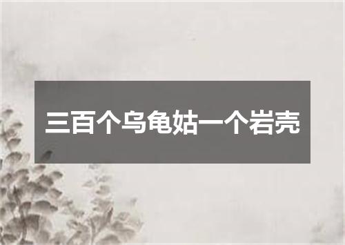 三百个乌龟姑一个岩壳
