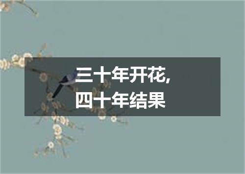 三十年开花,四十年结果