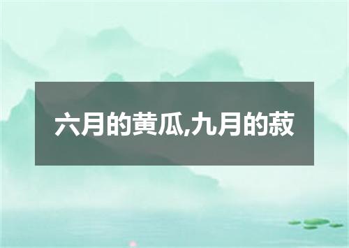 六月的黄瓜,九月的菽