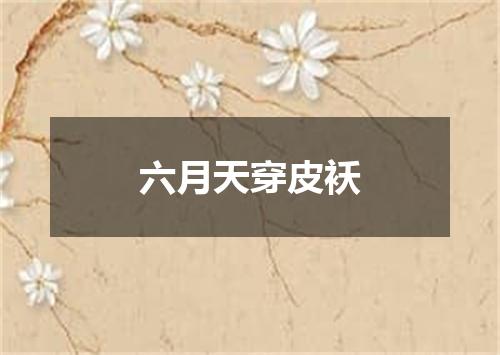 六月天穿皮袄