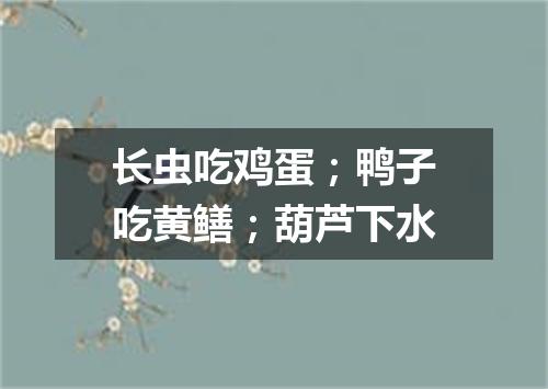 长虫吃鸡蛋；鸭子吃黄鳝；葫芦下水