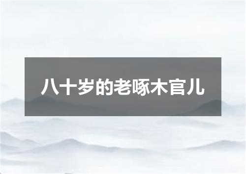 八十岁的老啄木官儿