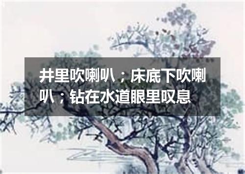 井里吹喇叭；床底下吹喇叭；钻在水道眼里叹息