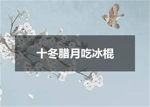 十冬腊月吃冰棍