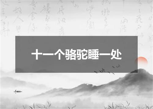 十一个骆驼睡一处