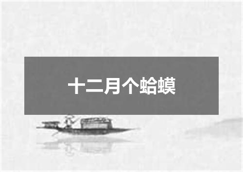 十二月个蛤蟆
