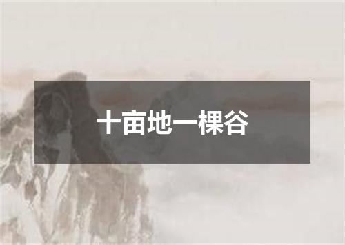 十亩地一棵谷