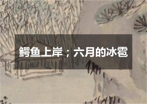 鳄鱼上岸；六月的冰雹