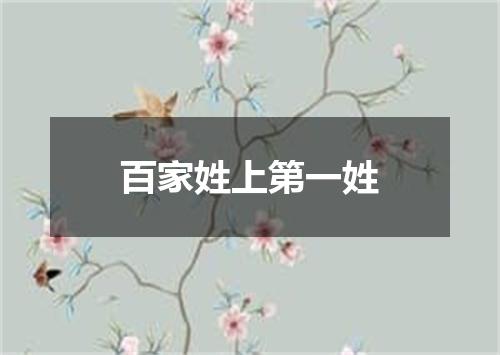 百家姓上第一姓