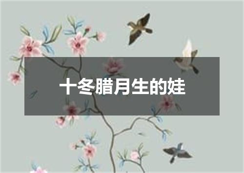 十冬腊月生的娃
