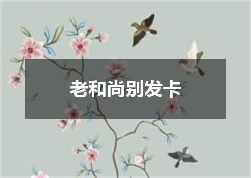 老和尚别发卡