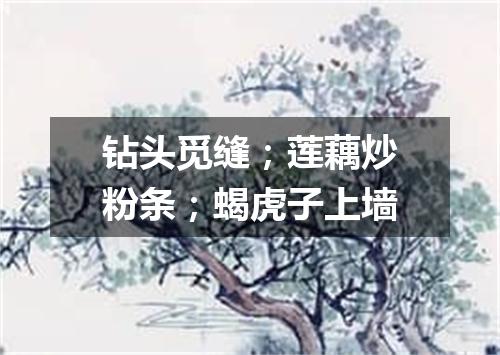 钻头觅缝；莲藕炒粉条；蝎虎子上墙
