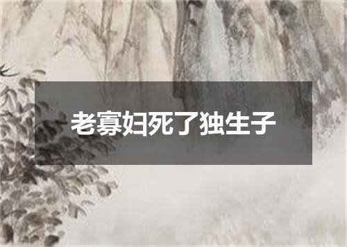 老寡妇死了独生子