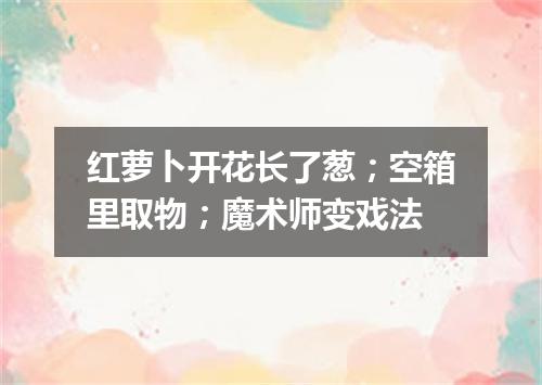 红萝卜开花长了葱；空箱里取物；魔术师变戏法