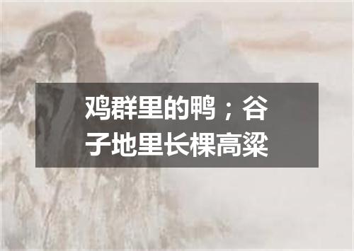 鸡群里的鸭；谷子地里长棵高粱