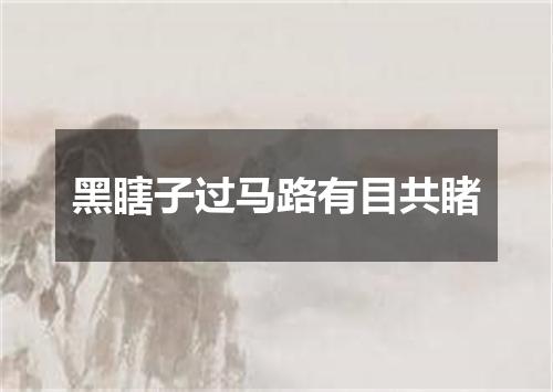 黑瞎子过马路有目共睹