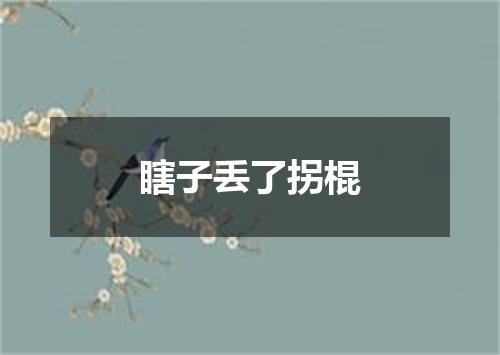瞎子丢了拐棍
