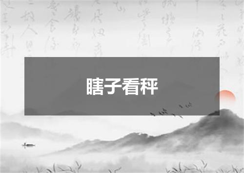 瞎子看秤