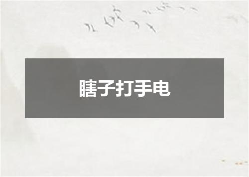 瞎子打手电