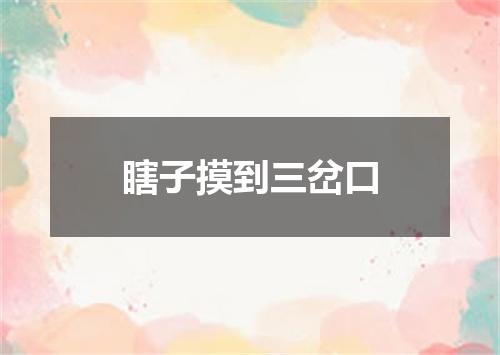 瞎子摸到三岔口