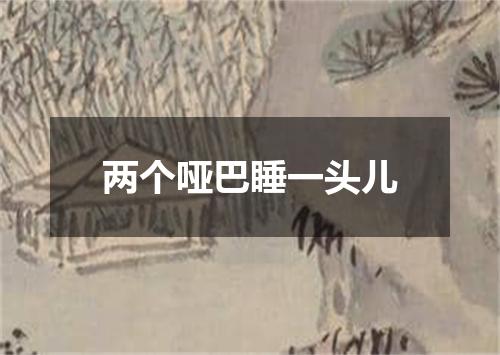 两个哑巴睡一头儿