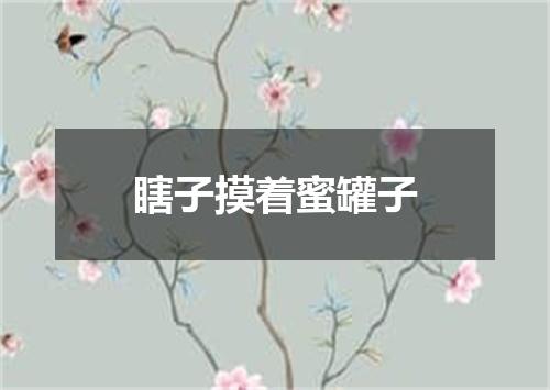 瞎子摸着蜜罐子