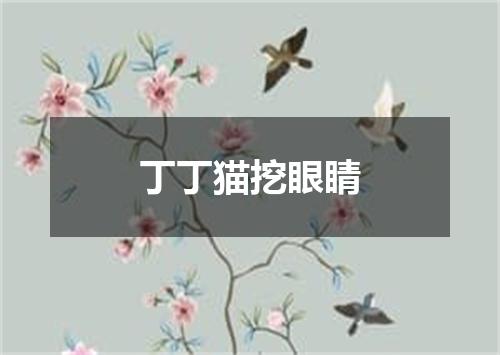 丁丁猫挖眼睛