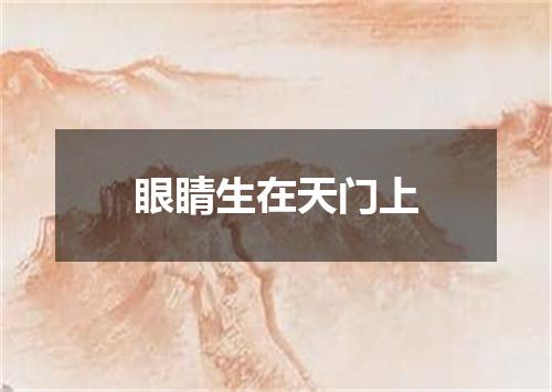 眼睛生在天门上