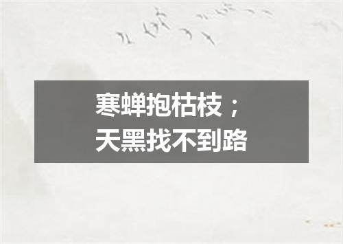 寒蝉抱枯枝；天黑找不到路
