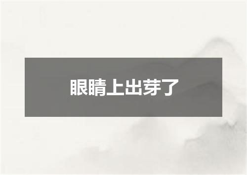 眼睛上出芽了