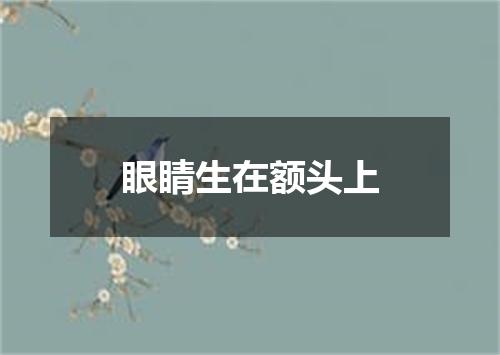 眼睛生在额头上
