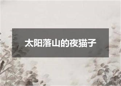 太阳落山的夜猫子