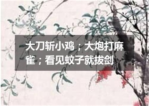 大刀斩小鸡；大炮打麻雀；看见蚊子就拔剑