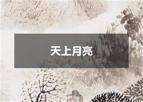 天上月亮