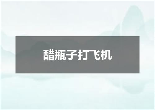 醋瓶子打飞机
