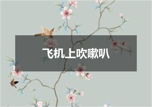 飞机上吹嗽叭
