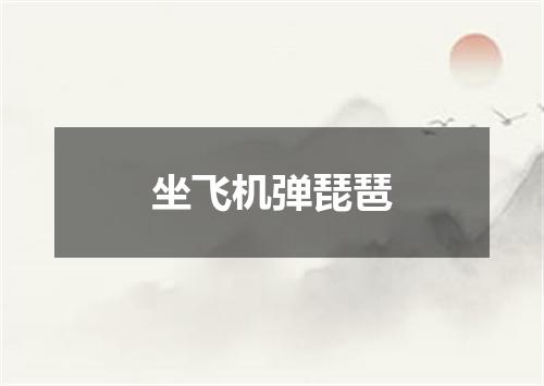 坐飞机弹琵琶