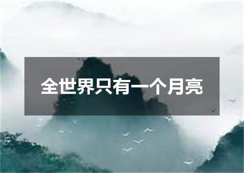 全世界只有一个月亮