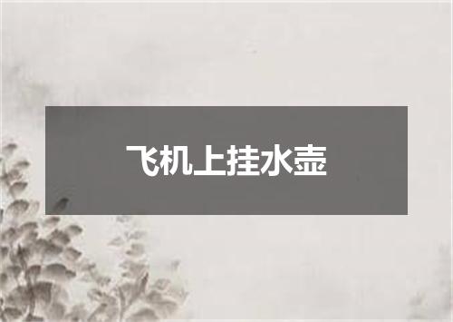 飞机上挂水壶