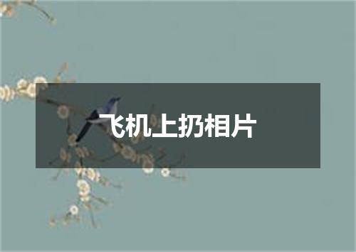 飞机上扔相片