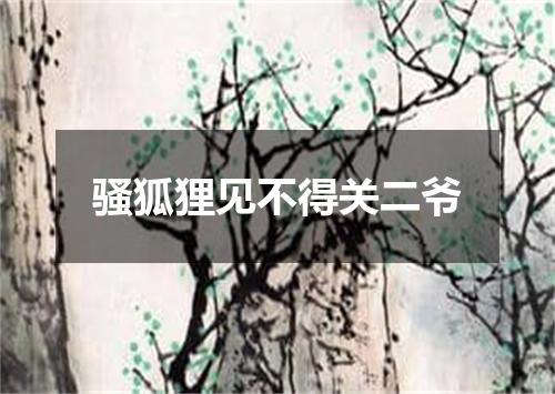 骚狐狸见不得关二爷