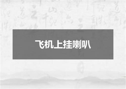 飞机上挂喇叭