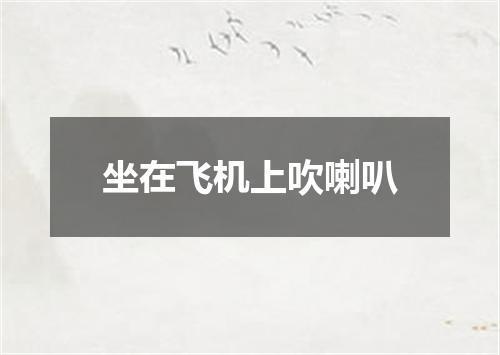 坐在飞机上吹喇叭
