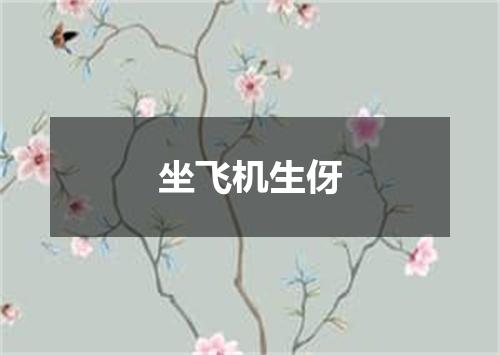 坐飞机生伢