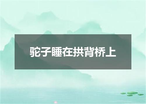 驼子睡在拱背桥上