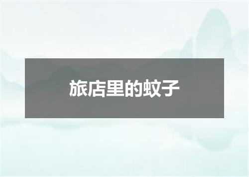 旅店里的蚊子