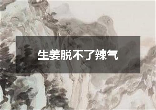 生姜脱不了辣气